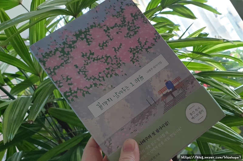 끝까지 남겨두는 그 마음 나태주 필사시집, 선물하기 좋은 시집 : 네이버 블로그 끝까지 남겨두는 그 마음 나태주 필사시집, 선물하기 좋은 시집 : 네이버 블로그