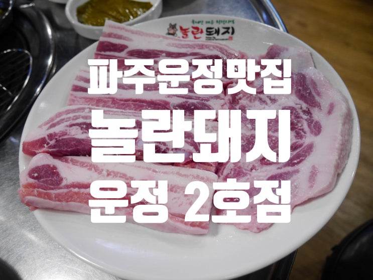  파주 운정 놀란돼지 운정2호점 - 제주 근고기/ 삼겹살/ 덜미살 - 돼지생고기 맛집 추천해요!!