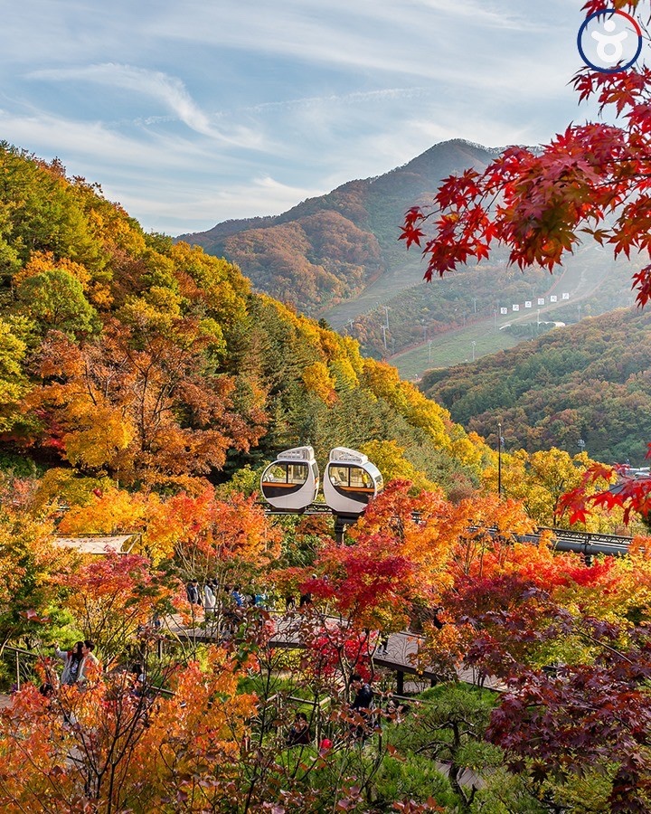  설악산으로 단풍없는 단풍여행