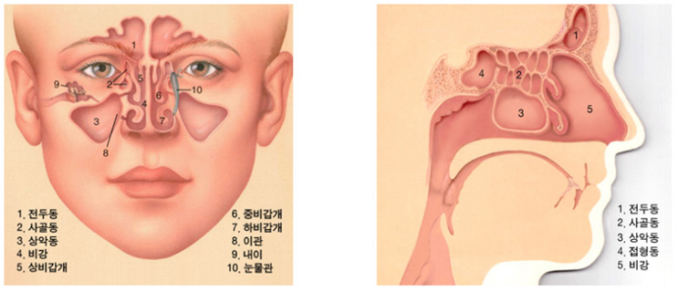  내 눈에만 보이는 거미줄, 날파리와 검은 점, 숨길을 열어야 합니다!