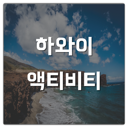  하와이 액티비티 확실하게 즐기자