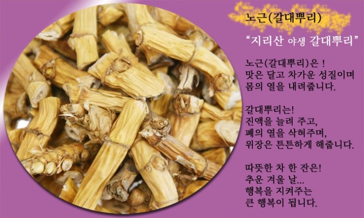  노근.갈대뿌리 효능(지리산약초)