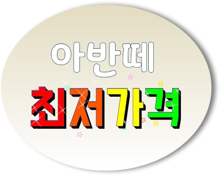  2019 아반떼 가격표 장기렌트 리스 할인 견적