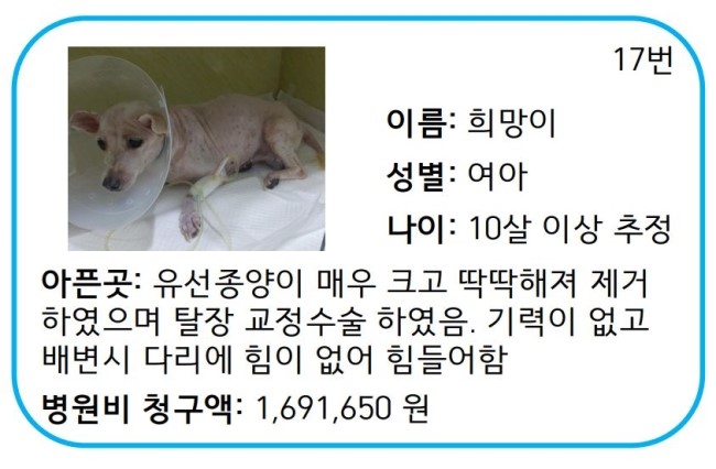  애린원 천사들 병원비 모금 1차