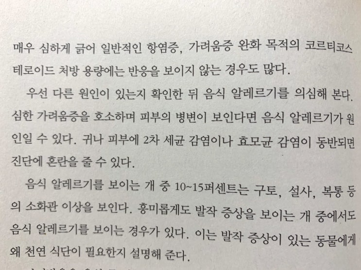  국제도서주간 릴레이 이어받기~
