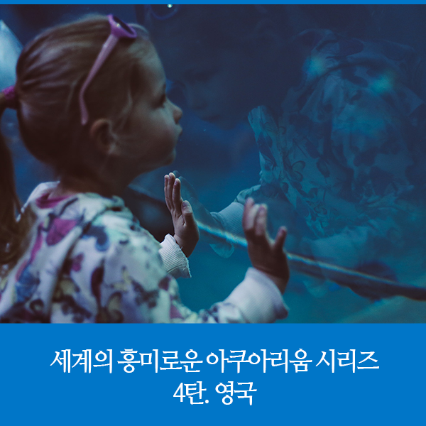  세계의 흥미로운 아쿠아리움 시리즈 4탄. 영국
