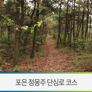  영천 여행 / 영천 명소 임고서원을 중심으로 조성된 힐링 산책로! 포은 정몽주 단심로 코스