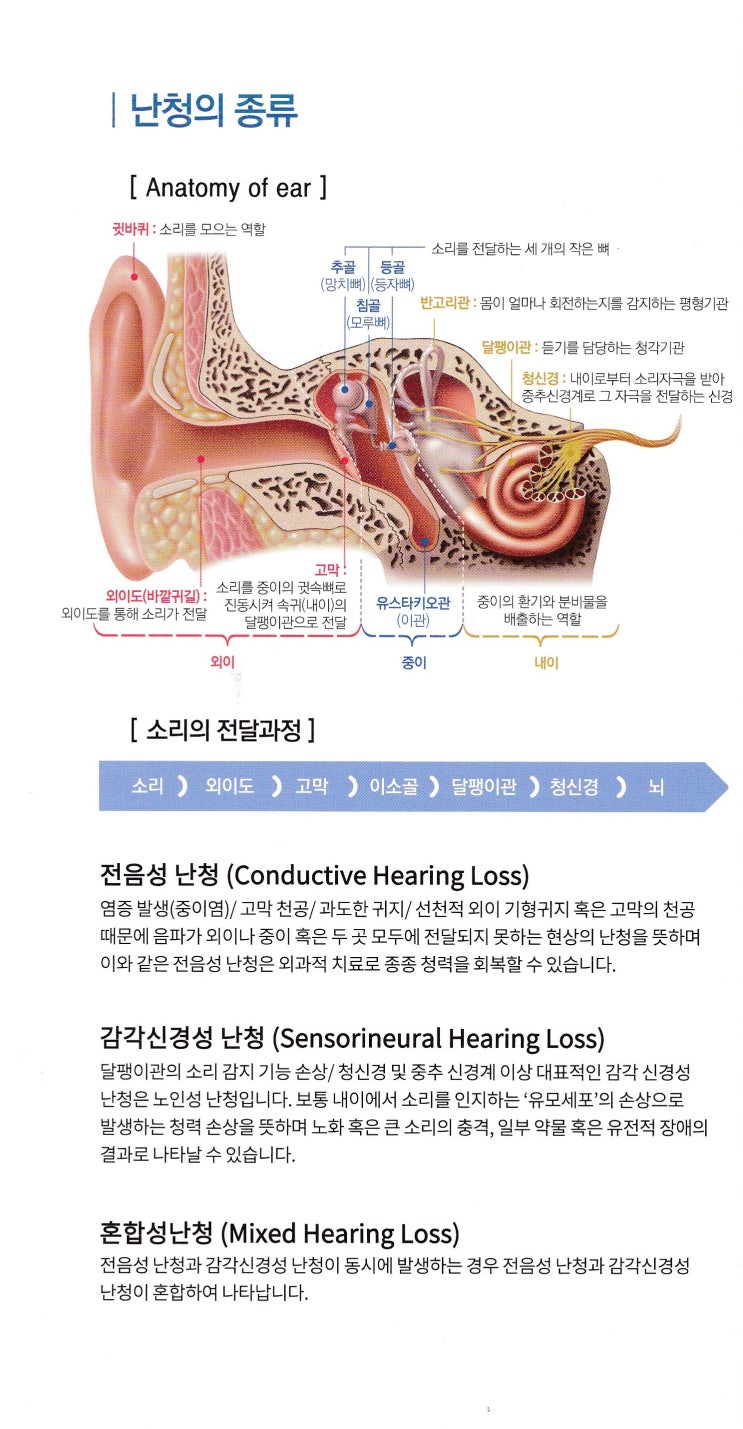  산본보청기 상담 무료로 평촌덴마크보청기에서