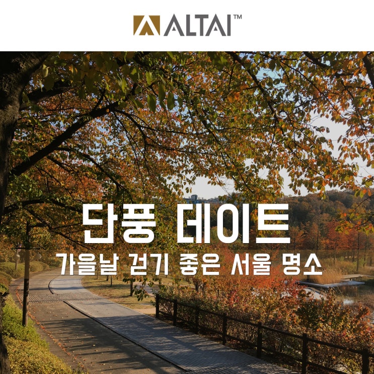  서울 가을 데이트, 걷기 좋은 곳 BEST 5