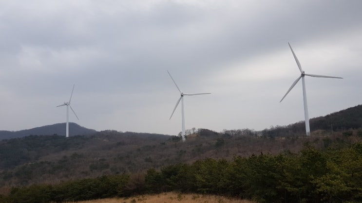  블로그 시작