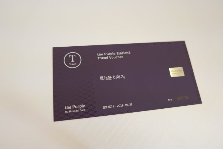  현대 퍼플 바우처 - 동반자 1+1 항공권 사용기