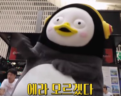  [좋은글] 삶의 고통은 과거의 후회와 미래의 불안에 집착해서-