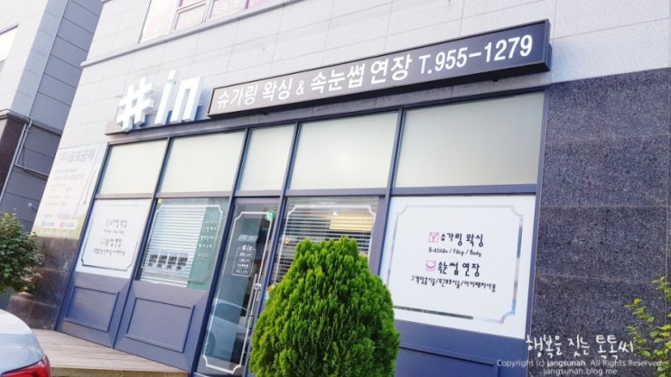  산정동 속눈썹 #in 자연스러워