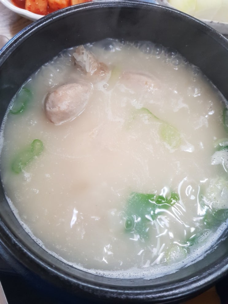  제주도민맛집 수목원 삼계탕 영업시간 주차가능시간