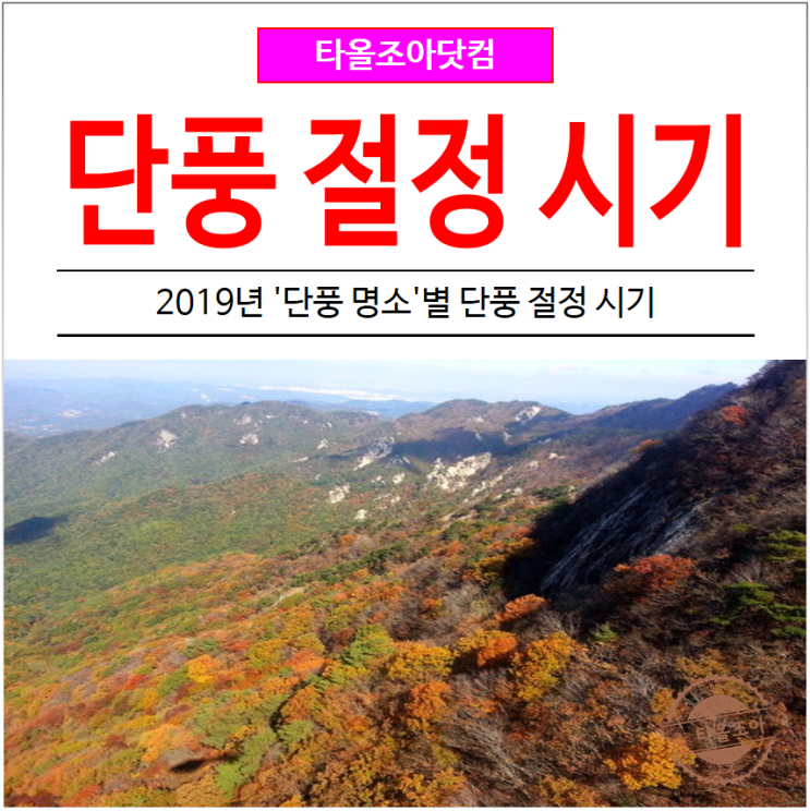  2019년 '단풍 명소'별 단풍 절정 시기