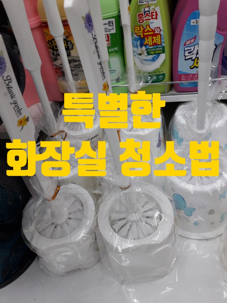  오래 사용하지 않은 화장실 청소법