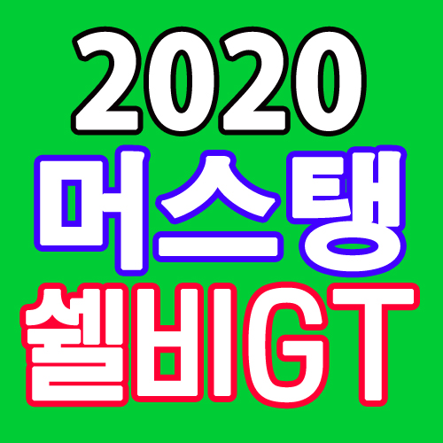  2020 포드머스탱 쉘비GT500이 떴다고?!!