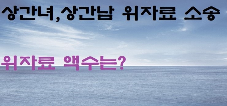  간통증거 상간녀 내연녀 위자료 외도증거 상간자 위자료 소송