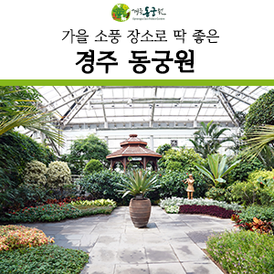  가을 소풍 장소로 딱 좋은 경주 식물원, 동궁원