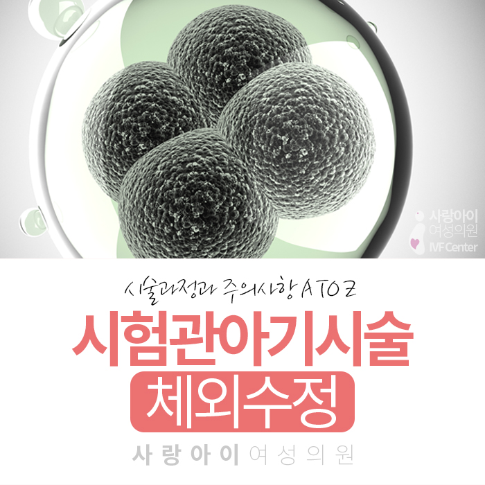  시험관아기시술과정, 나도 할 수 있을까? 잠실 난임 산부인과