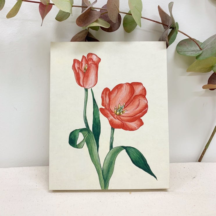  동양채색화배우기/발산 마곡역 성인취미미술  동양화화실_튤립그리기, 채색화, 동양화 바림, 민화동양화 외부출강강의 성인미술학원, 서울 강서구 취미미술교습소