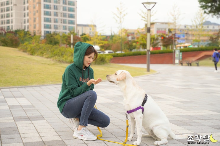  VIKI 비키 팬톤 콜라보레이션 여자후드티셔츠, 캐주얼룩으로 딱 좋아