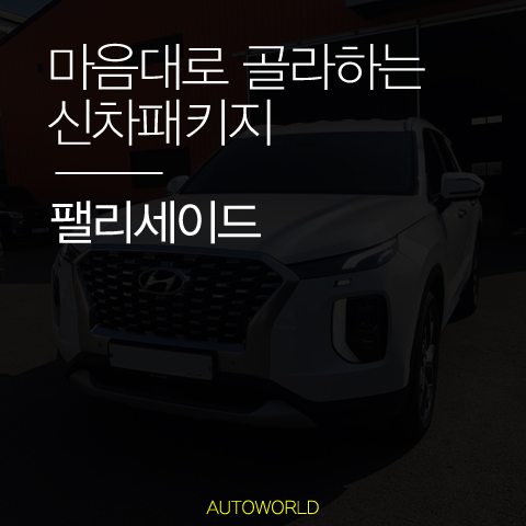  팰리세이드 튜닝 기본부터 탄탄하게