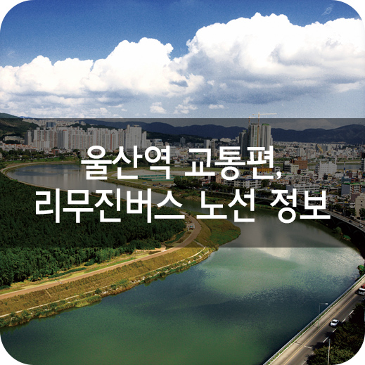  울산역 교통편, 리무진버스 노선 정보