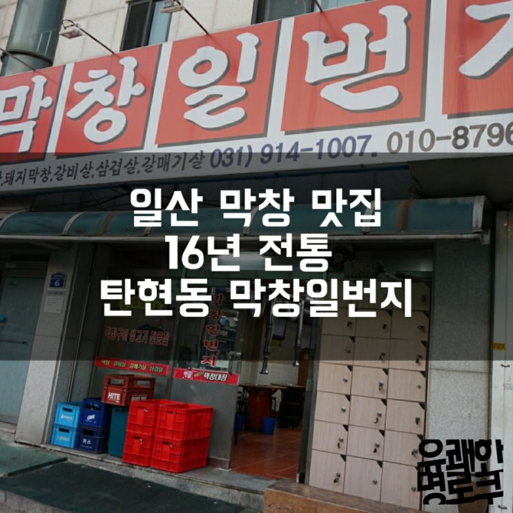  일산 막창 맛집 16년 전통 탄현동 막창일번가