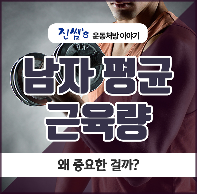  남자 평균 근육량, 왜 중요한 걸까?