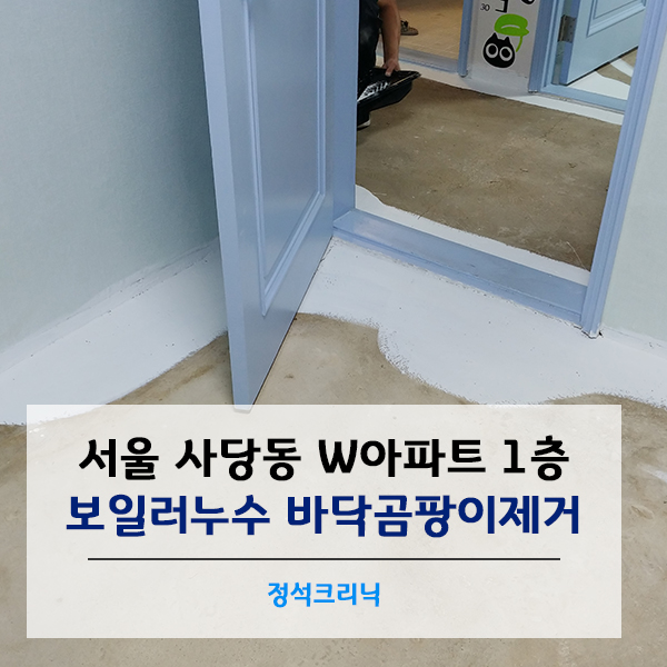  누수곰팡이제거 _ 서울 사당동 보일러누수로 인한 작업 현장