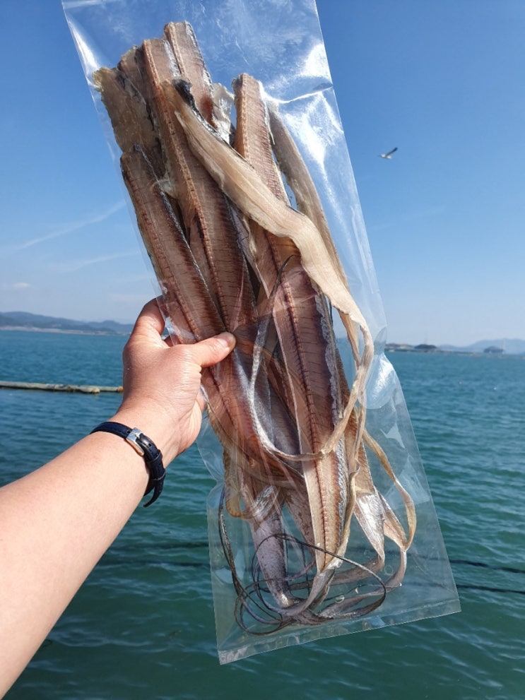  반건조 마른갈치.갈치포 손질 갑오징어 구경하셔욤