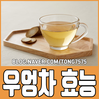  우엉차 효능 5가지 참고하세요