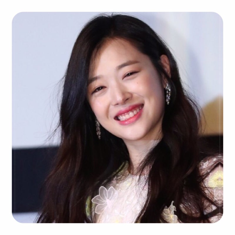 설리 최자 노래 가사 인스타 악플 테러 논란 + 먹고하고자고 가사
