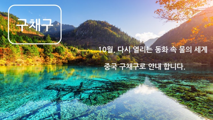  울산하나투어/10월 중국 구채구 재오픈