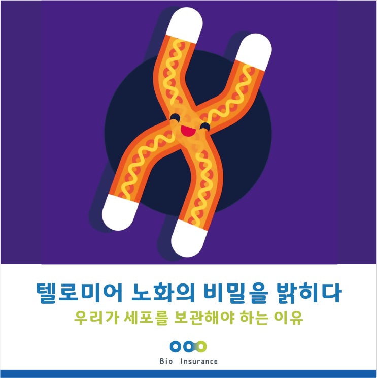  텔로미어 노화의 비밀을 밝히다