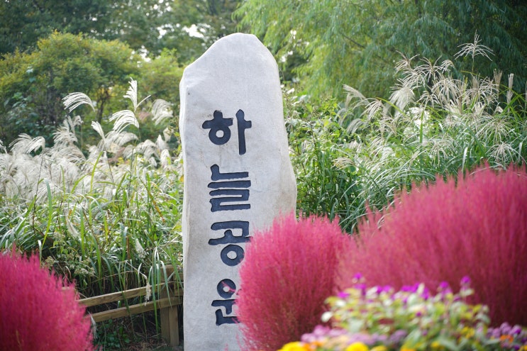  하늘공원