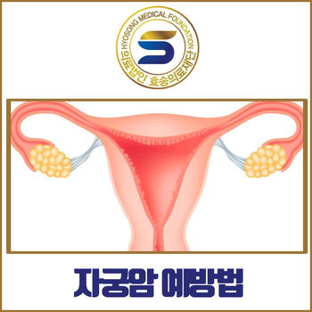  안산재활병원에서 알아보는 자궁암 예방법