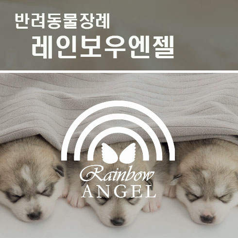  애견장례식장, 그 합리적 선택법은?
