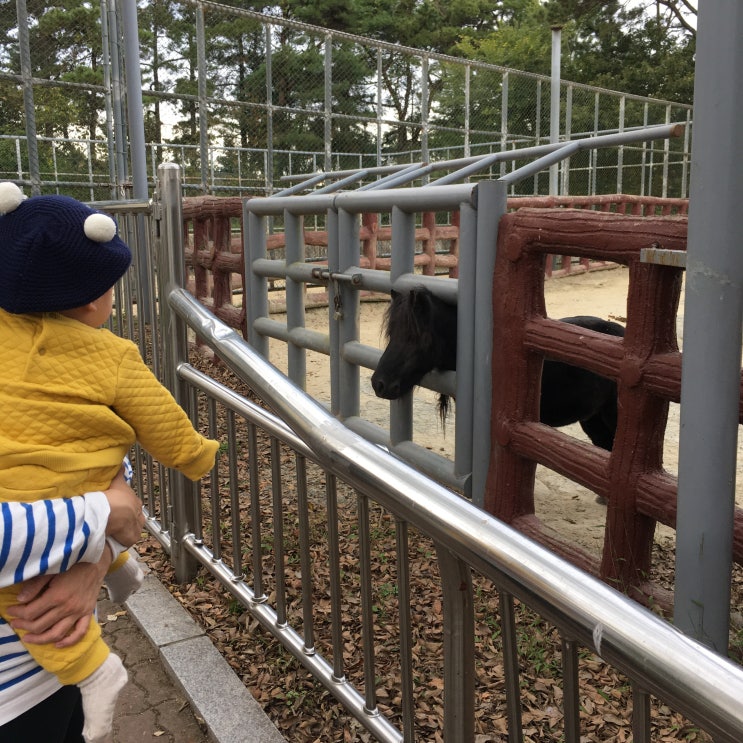  진주 진양호 동물원, 아이와 함께 가볼만한 곳! 유모차도 문제엄쒀 !