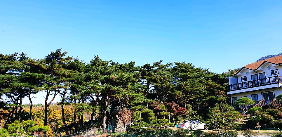 오서랑펜션 사진 3