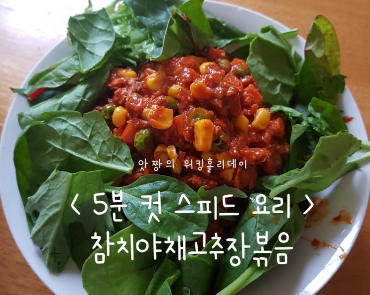  골드코스트) 쉽고 빠르게 만들어 먹는 자취요리 5분 컷 레시피-참치 야채 고추장 만들기