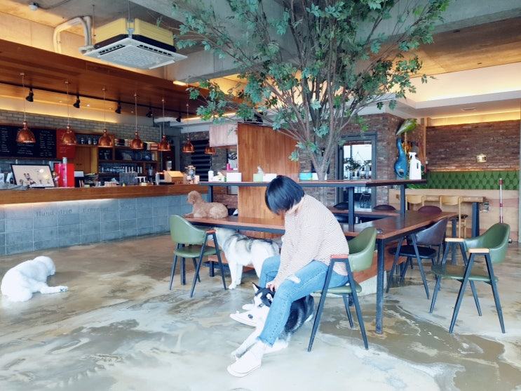  다대포 도그어바웃(강아지 카페)