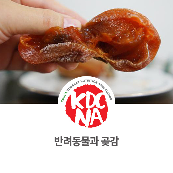  [반려동물 식재료 영양 정보] 강아지 고양이 곶감 먹어도 될까요?_116