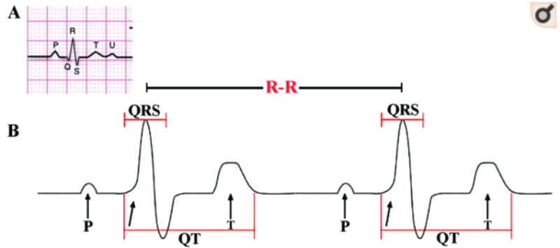 The Role of Heart Rate Variability in Sports Physiology : 네이버 블로그