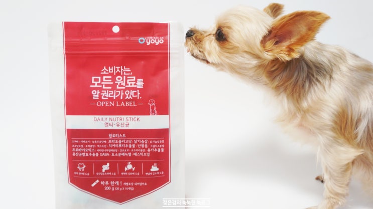 오요요 강아지껌 오래 먹는 강아지간식 추천 오요요 강아지껌 오래 먹는 강아지간식 추천