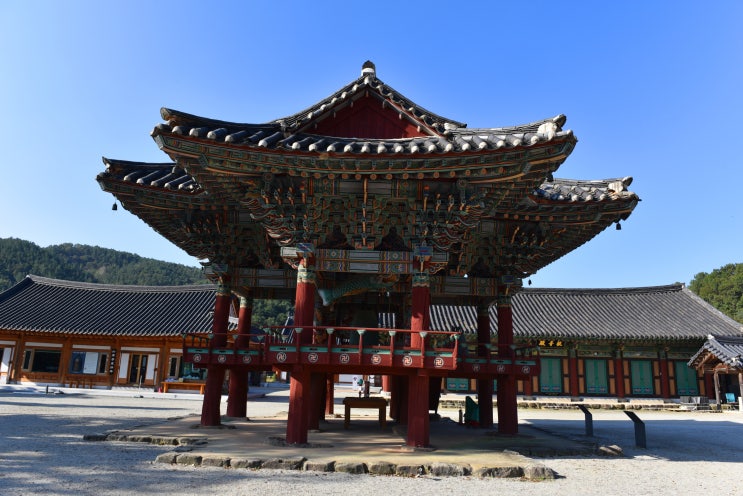  완주 송광사의 가을