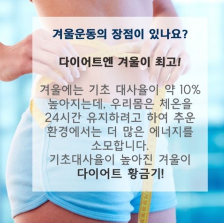  겨울이 최적기!!