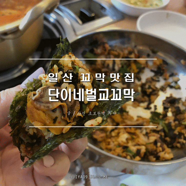  일산 꼬막 맛집 단이네벌교꼬막에서 행복한 점심식사