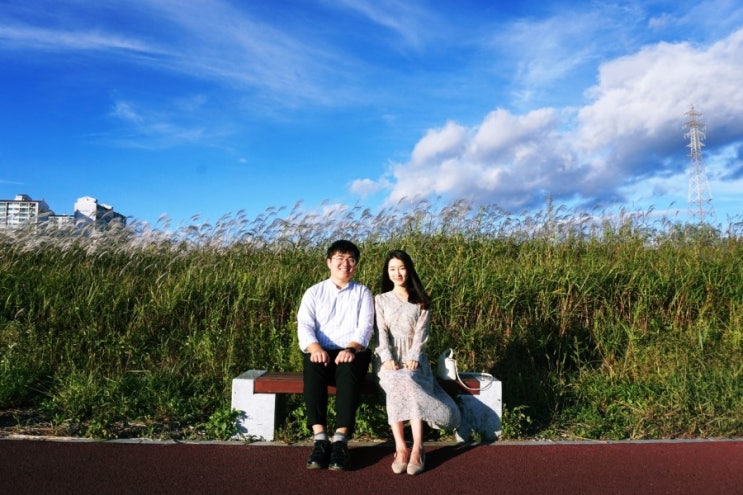 울산 가을여행 (태화강 억새군락지) 울산 가을여행 (태화강 억새군락지)